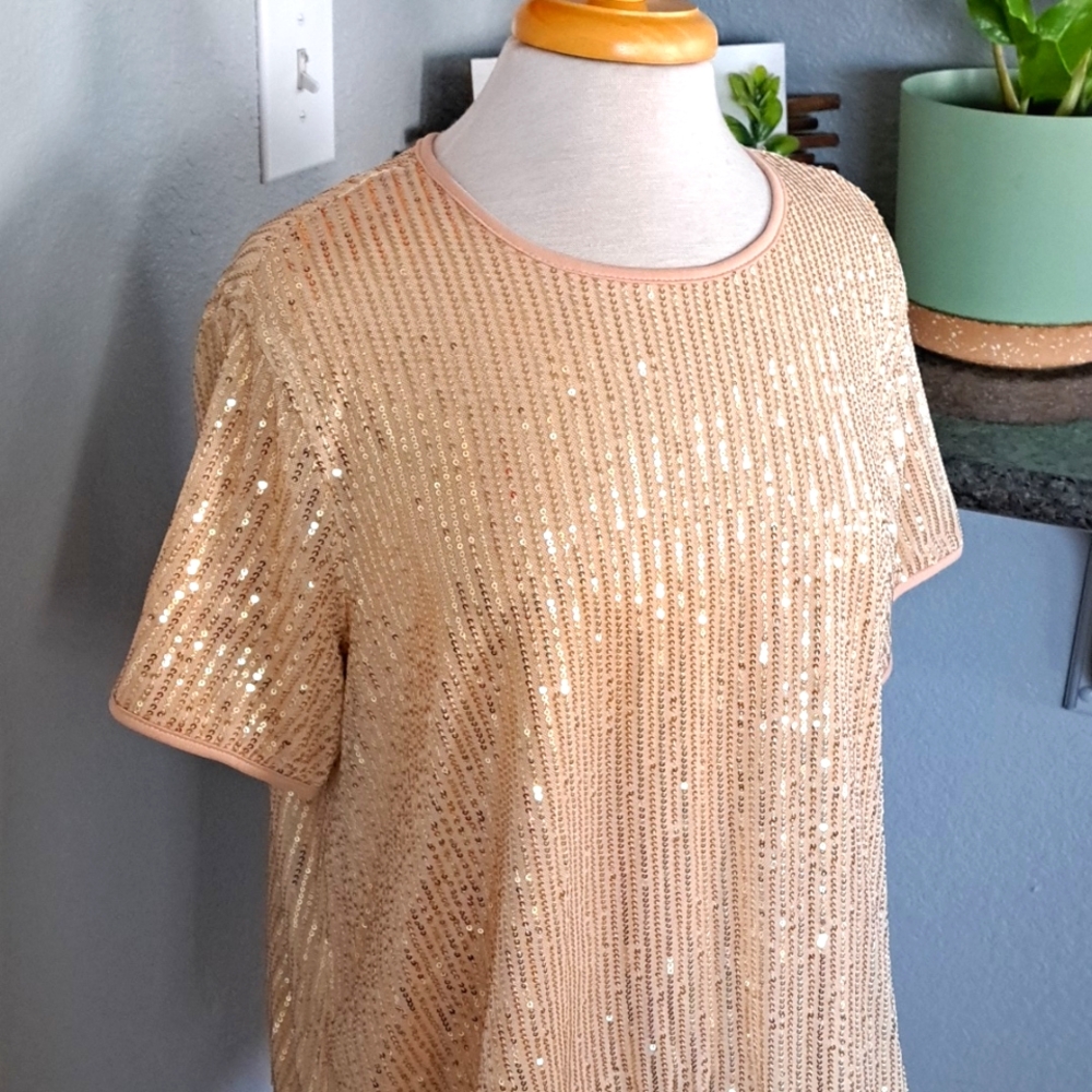 SHEIN Curve Sequin Top | Size 0XL - Picture 2 of 5